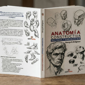 Anatomía Constructiva